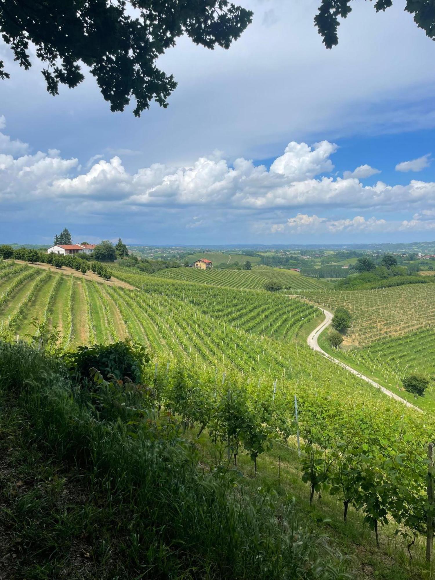 Ca' Colomba Villa San Damiano dʼAsti Eksteriør billede